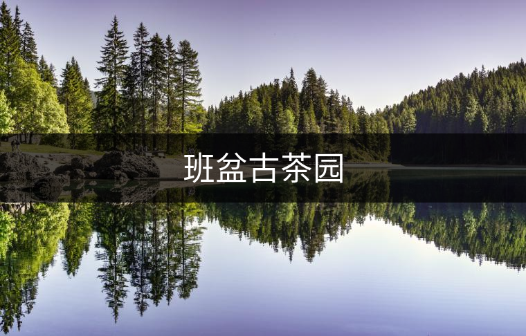 班盆古茶園