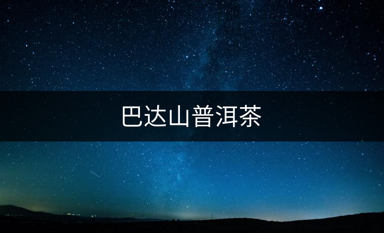 巴達山普洱茶 巴達山普洱茶