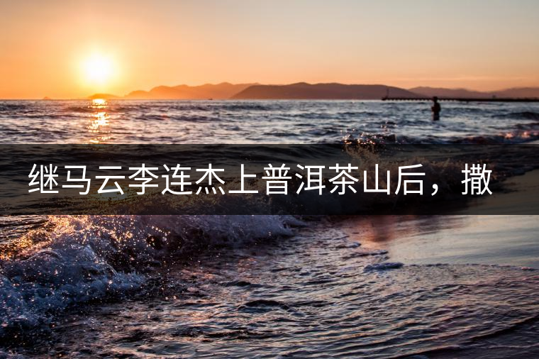 繼馬云李連杰上普洱茶山后，撒貝寧劉愷威也來了