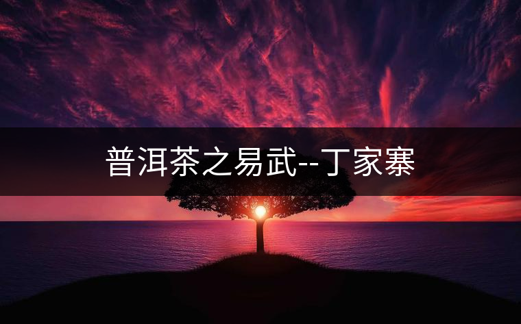 普洱茶之易武--丁家寨