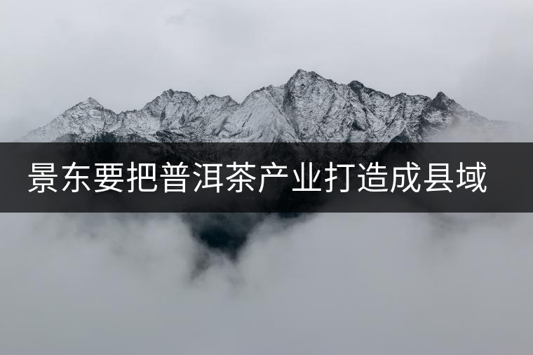 景東要把普洱茶產(chǎn)業(yè)打造成縣域經(jīng)濟(jì)的支柱產(chǎn)業(yè) 景東要把普洱茶產(chǎn)業(yè)打造成縣域經(jīng)濟(jì)的支柱產(chǎn)業(yè)