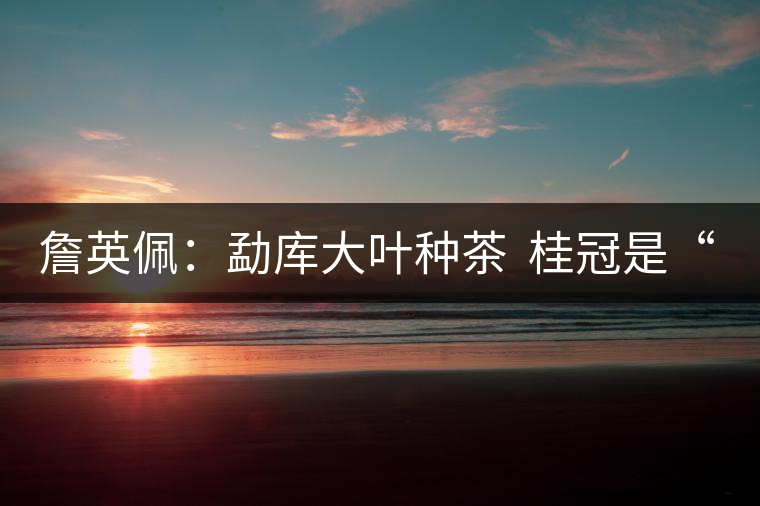 詹英佩:勐庫(kù)大葉種茶 桂冠是“正宗” 詹英佩:勐庫(kù)大葉種茶 桂冠是“正宗”