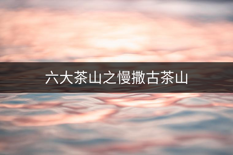 六大茶山之慢撒古茶山