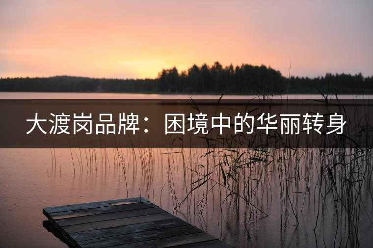 大渡崗品牌：困境中的華麗轉身