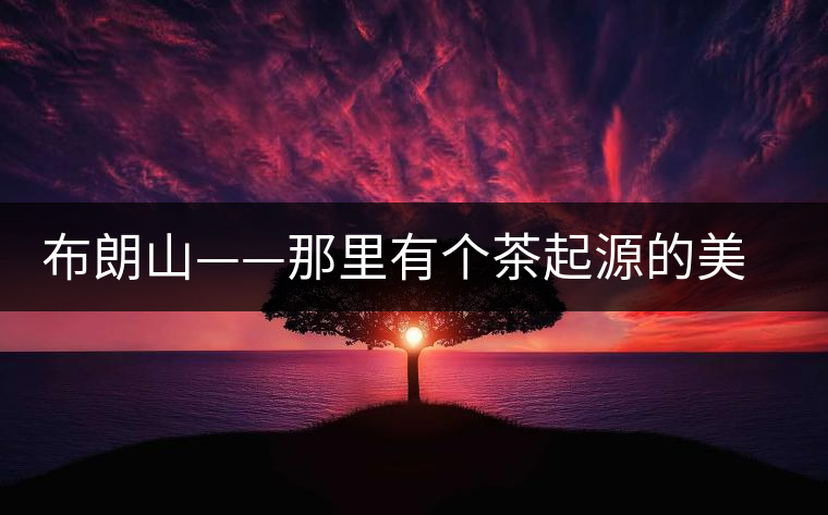 布朗山——那里有個(gè)茶起源的美麗傳說