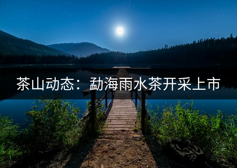 茶山動(dòng)態(tài)：勐海雨水茶開采上市