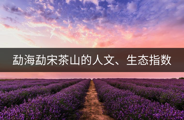 勐海勐宋茶山的人文、生態(tài)指數(shù)