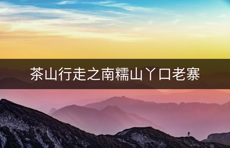 茶山行走之南糯山丫口老寨