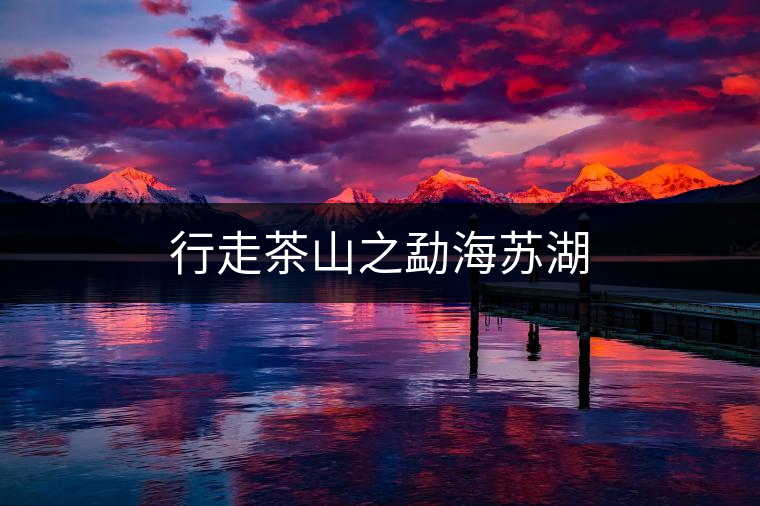 行走茶山之勐海蘇湖 行走茶山之勐海蘇湖