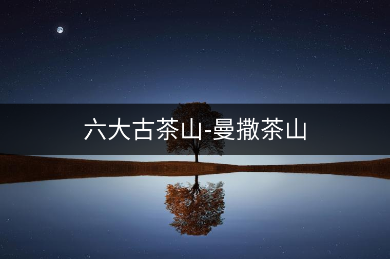 六大古茶山-曼撒茶山 六大古茶山-曼撒茶山