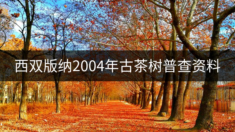 西雙版納2004年古茶樹(shù)普查資料 西雙版納2004年古茶樹(shù)普查資料
