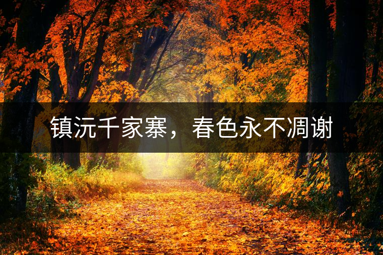 鎮(zhèn)沅千家寨，春色永不凋謝