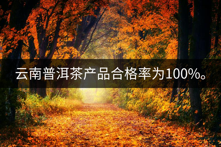 云南普洱茶產(chǎn)品合格率為100%。