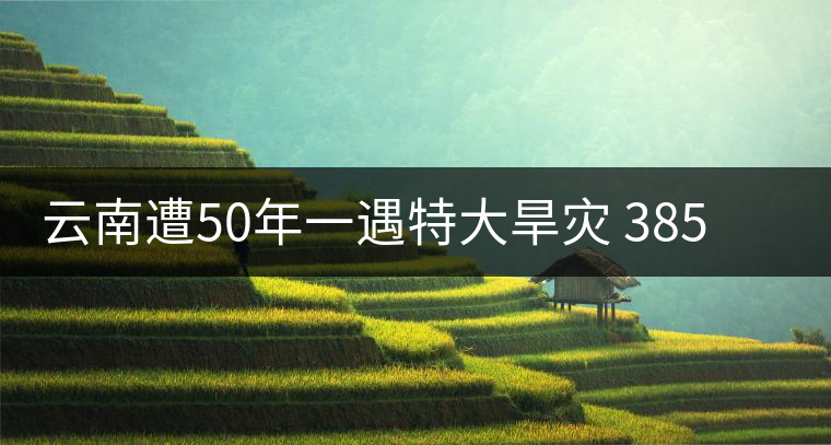 云南遭50年一遇特大旱災(zāi) 385萬(wàn)人飲水困難
