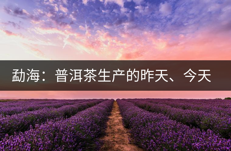 勐海：普洱茶生產(chǎn)的昨天、今天、明天