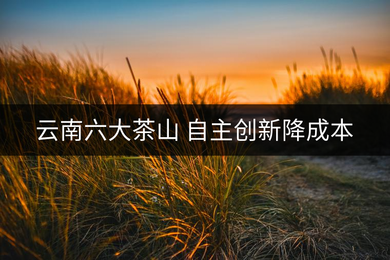 云南六大茶山 自主創(chuàng)新降成本