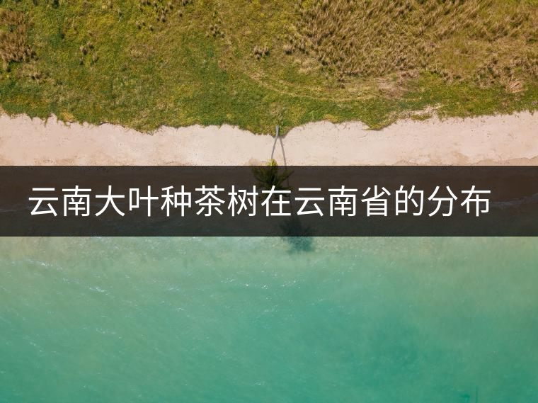 云南大葉種茶樹(shù)在云南省的分布情況