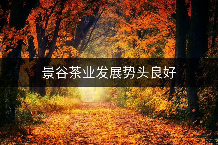 景谷茶業(yè)發(fā)展勢(shì)頭良好 景谷茶業(yè)發(fā)展勢(shì)頭良好