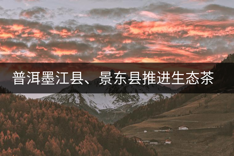 普洱墨江縣、景東縣推進(jìn)生態(tài)茶園建設(shè)