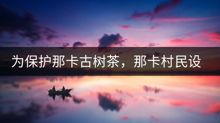 為保護那卡古樹茶，那卡村民設(shè)公約牌