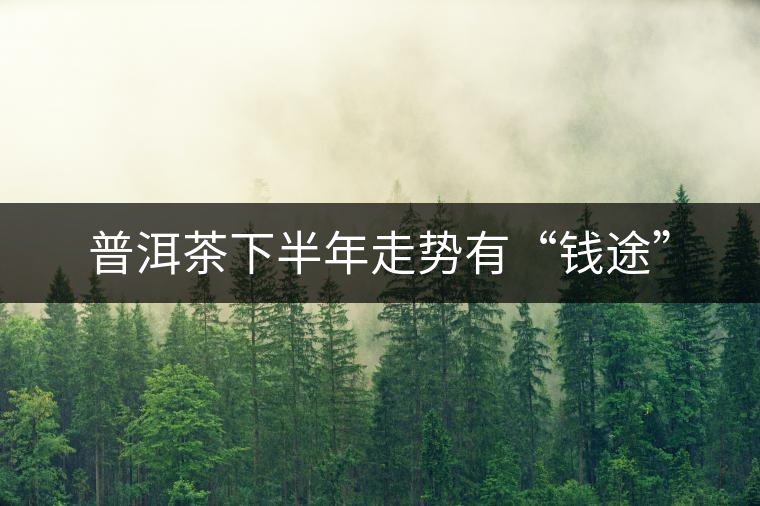普洱茶下半年走勢(shì)有“錢(qián)途”