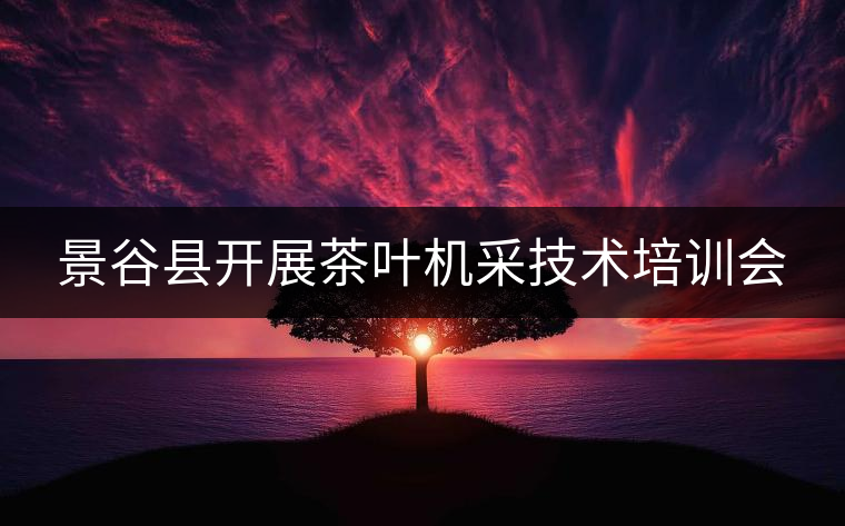 景谷縣開展茶葉機采技術(shù)培訓會