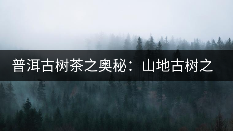 普洱古樹(shù)茶之奧秘:山地古樹(shù)之美 普洱古樹(shù)茶之奧秘:山地古樹(shù)之美