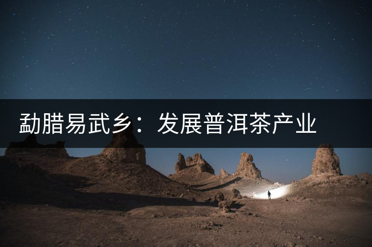 勐臘易武鄉(xiāng):發(fā)展普洱茶產(chǎn)業(yè) 打造“中國貢茶第一鎮(zhèn)” 勐臘易武鄉(xiāng):發(fā)展普洱茶產(chǎn)業(yè) 打造“中國貢茶第一鎮(zhèn)”