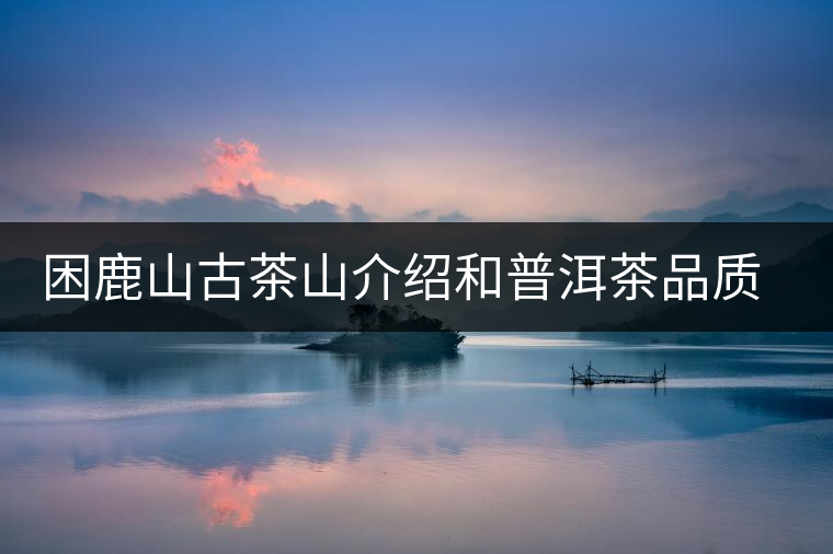 困鹿山古茶山介紹和普洱茶品質(zhì)特色