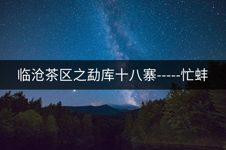臨滄茶區(qū)之勐庫十八寨-----忙蚌 臨滄茶區(qū)之勐庫十八寨-----忙蚌