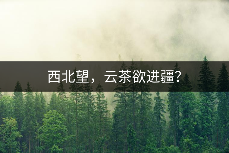 西北望，云茶欲進(jìn)疆？