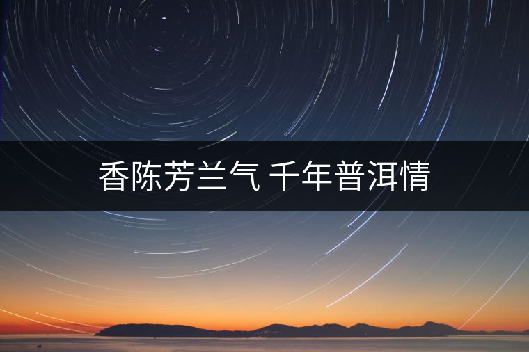 香陳芳蘭氣 千年普洱情