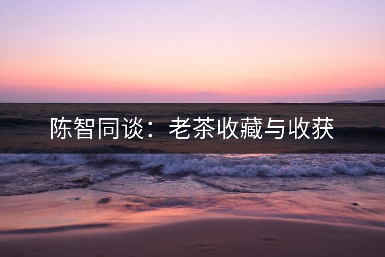 陳智同談:老茶收藏與收獲 陳智同談:老茶收藏與收獲