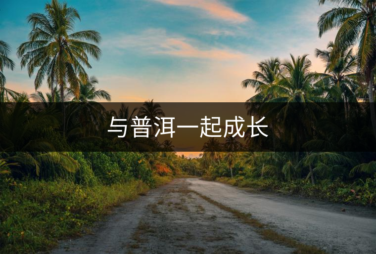 與普洱一起成長(zhǎng)