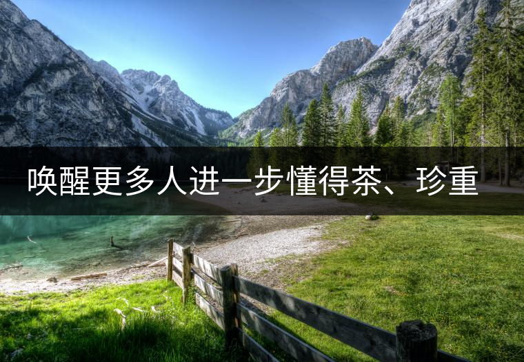 喚醒更多人進(jìn)一步懂得茶、珍重茶、享受茶