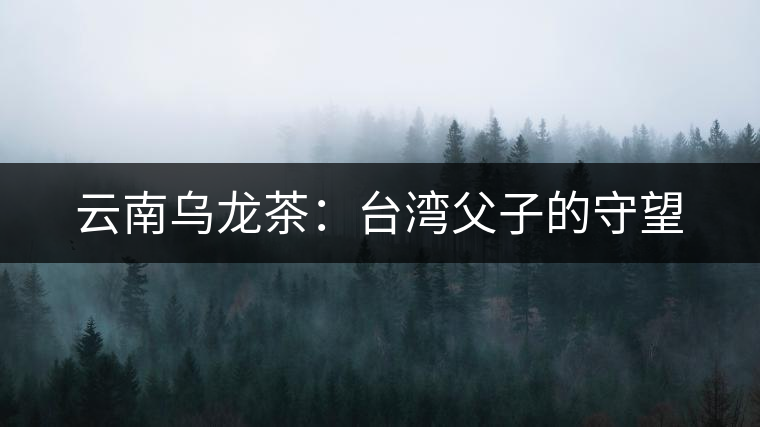 云南烏龍茶:臺(tái)灣父子的守望 云南烏龍茶:臺(tái)灣父子的守望