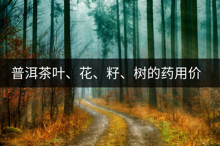 普洱茶葉、花、籽、樹的藥用價值