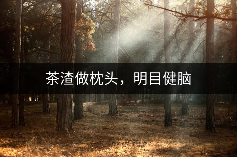 茶渣做枕頭，明目健腦