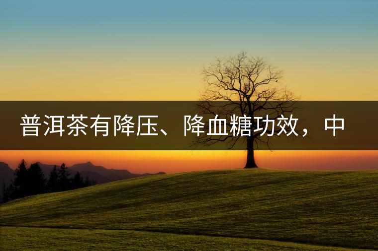普洱茶有降壓、降血糖功效，中老年人不再懼怕糖尿病