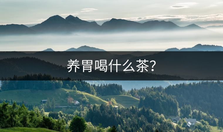 養(yǎng)胃喝什么茶？