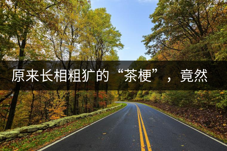 原來(lái)長(zhǎng)相粗獷的“茶?！保谷贿€有這么多的作用