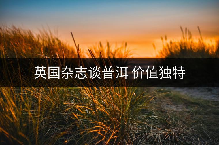 英國雜志談普洱 價值獨特