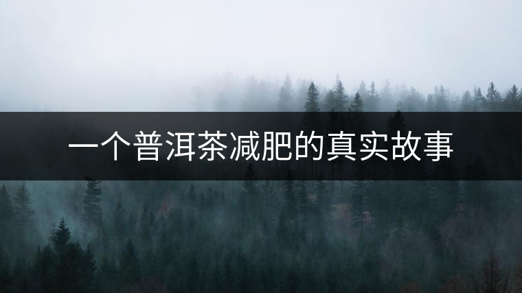 一個普洱茶減肥的真實故事