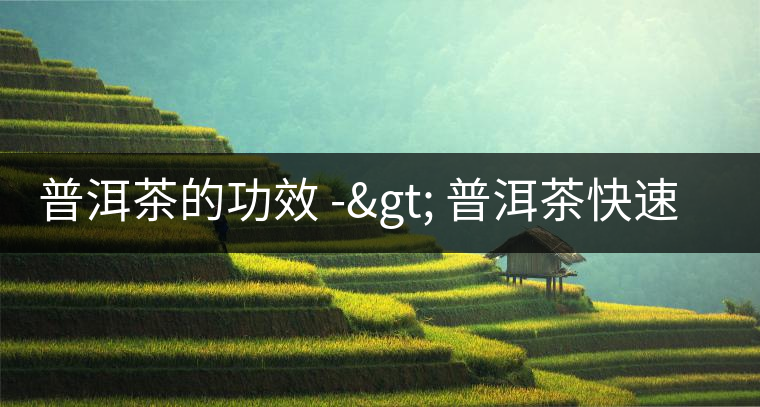 普洱茶的功效 -> 普洱茶快速減肥