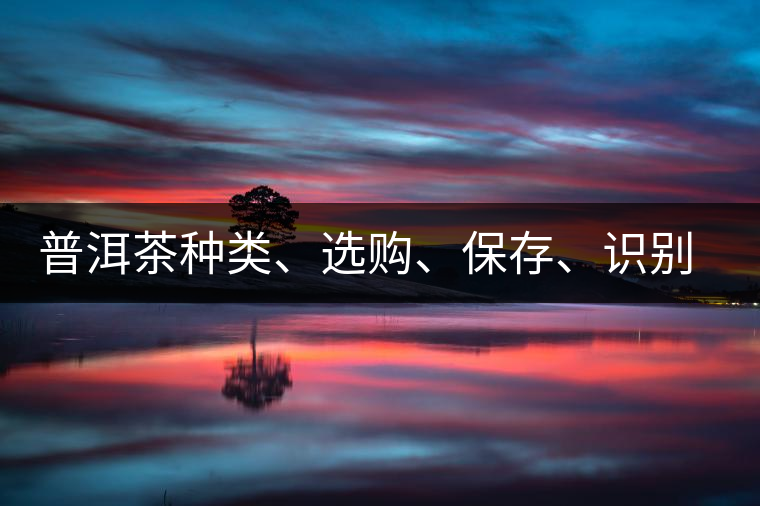 普洱茶種類、選購、保存、識(shí)別、沖泡