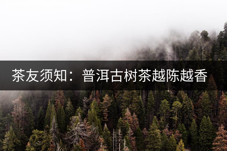 茶友須知:普洱古樹茶越陳越香的演變過程 茶友須知:普洱古樹茶越陳越香的演變過程
