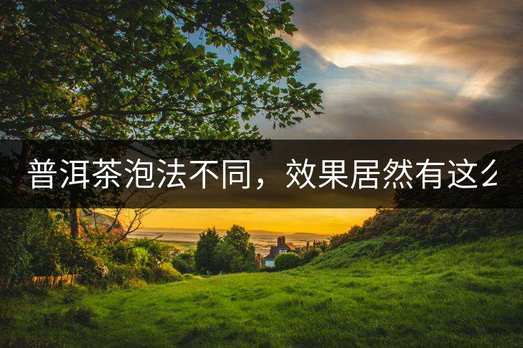 普洱茶泡法不同，效果居然有這么大區(qū)別！