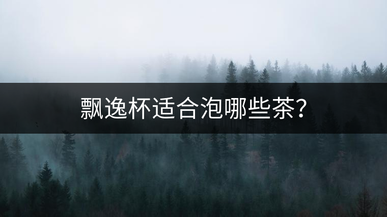 飄逸杯適合泡哪些茶？