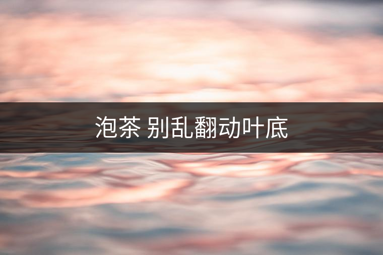 泡茶 別亂翻動(dòng)葉底