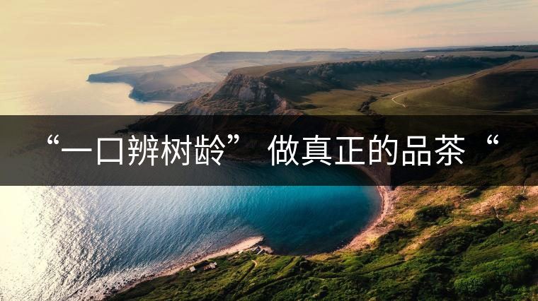 “一口辨樹齡” 做真正的品茶“大師”！